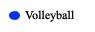 Volleyball